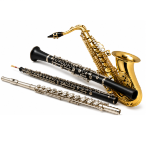 Wypożyczalnia instrumentów lub kupno używanych.