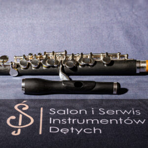 Flet piccolo Bernhard Hammig A650